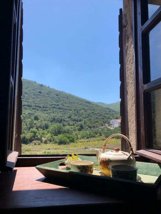 Zrnovo Holiday Home Villa Kastel מראה חיצוני תמונה