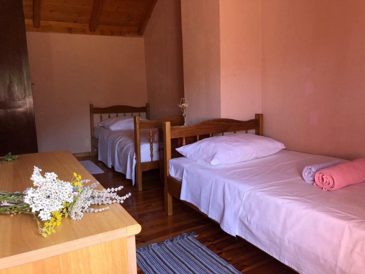 Zrnovo Holiday Home Villa Kastel מראה חיצוני תמונה