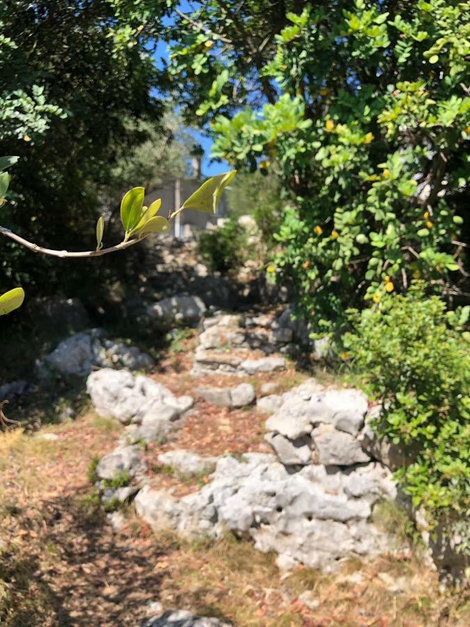 Zrnovo Holiday Home Villa Kastel מראה חיצוני תמונה