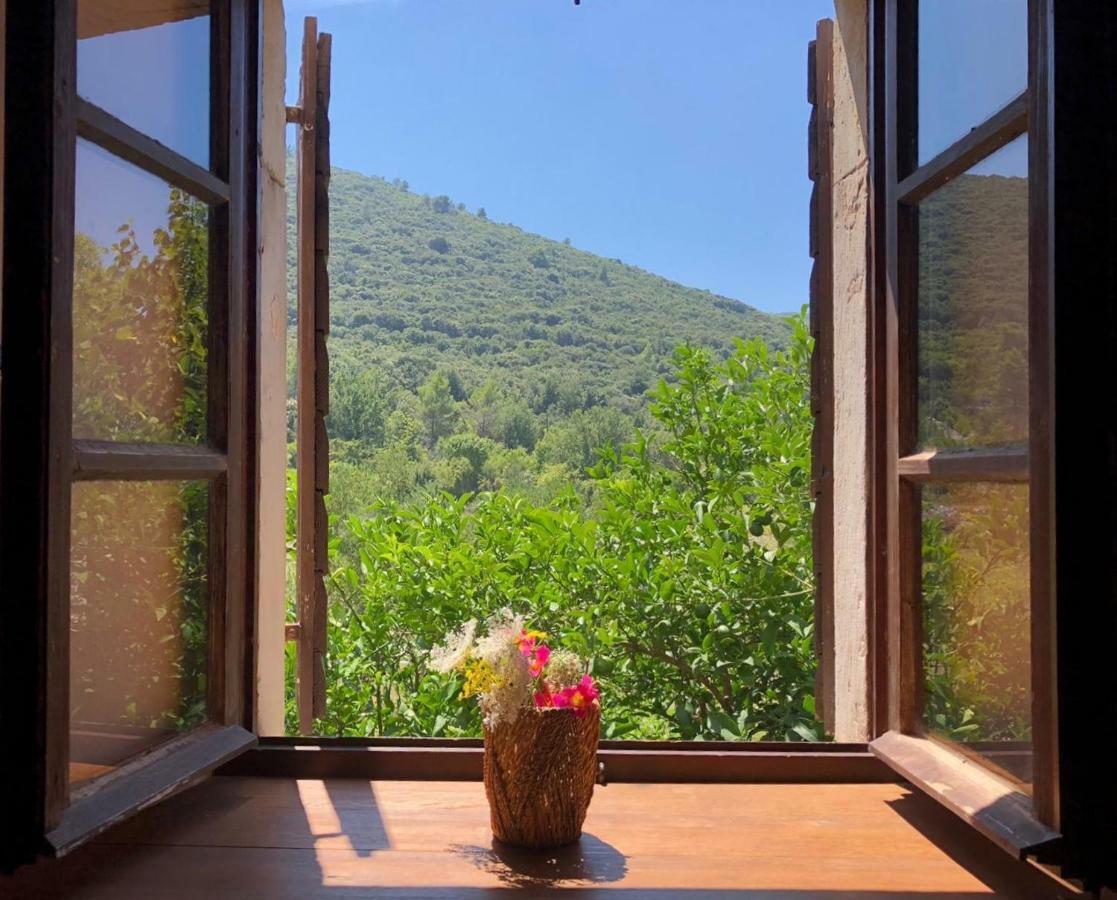 Zrnovo Holiday Home Villa Kastel מראה חיצוני תמונה